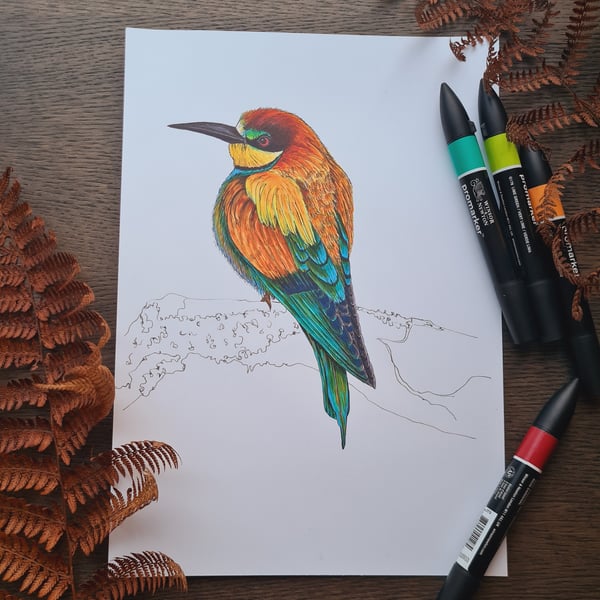 Bee-eater