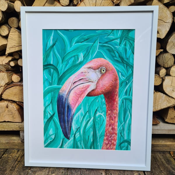 Flamingo